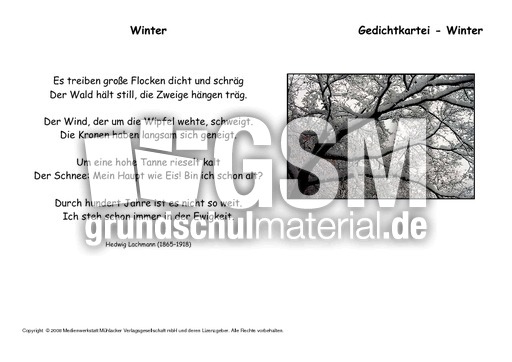 Winter-Lachmann.pdf